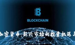 横琴加密货币：新兴市场的投资机遇与挑战