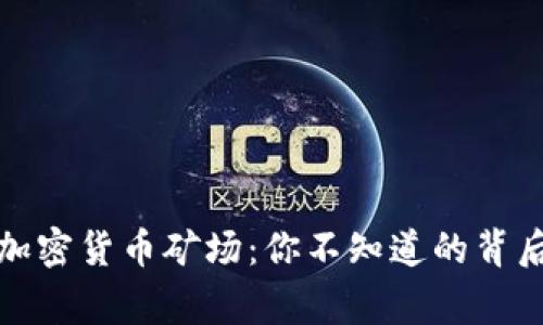 揭密加密货币矿场：你不知道的背后故事