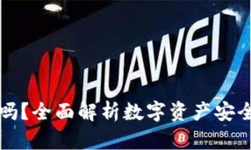 TPWallet安全吗？全面解析数字资产安全性与使用体验