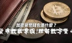 深入探讨加密货币数据草图：理解数字货币的创