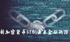 深度解析加密货币SIB：未来金融的潜力怎样？