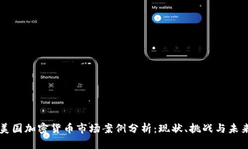美国加密货币市场案例分析：现状、挑战与未来