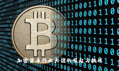 加密货币行业大佬的崛起与挑战