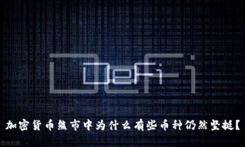 加密货币熊市中为什么有些币种仍然坚挺？