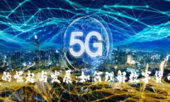 加密货币的崛起与发展：如何理解数字货币的未