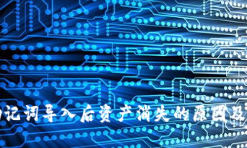 TP钱包助记词导入后资产消失的原因及解决方案