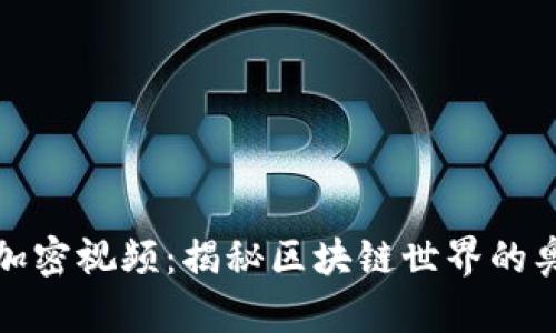 数字货币加密视频：揭秘区块链世界的奥秘与利润