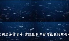 探索同态加密货币：实现隐私保护与数据处理的