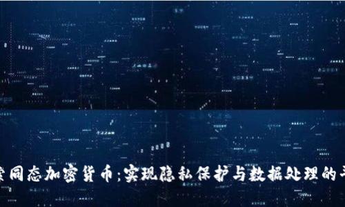 探索同态加密货币：实现隐私保护与数据处理的平衡