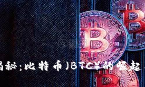加密货币揭秘：比特币（BTC）的崛起与未来发展