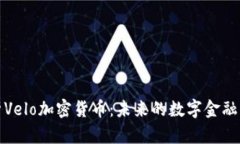 全面解析Velo加密货币：未来的数字金融解决方案