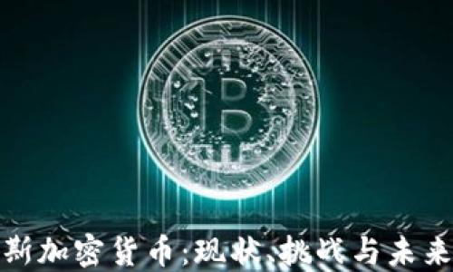 
俄罗斯加密货币：现状、挑战与未来发展