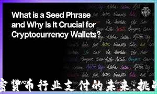 
印度加密货币行业支付的未来：挑战与机遇