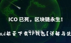 华为iPad能否下载TP钱包？详解与使用指南