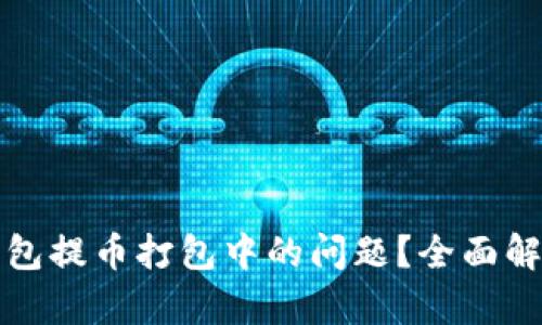 如何解决TP钱包提币打包中的问题？全面解析与解决方案
