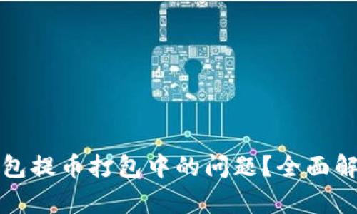 如何解决TP钱包提币打包中的问题？全面解析与解决方案