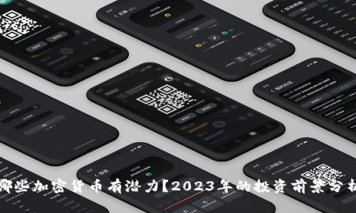 哪些加密货币有潜力？2023年的投资前景分析