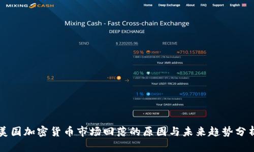 美国加密货币市场回落的原因与未来趋势分析