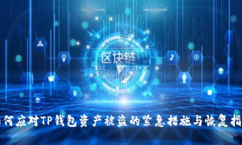 如何应对TP钱包资产被盗的紧急措施与恢复指南