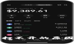 TP钱包博饼打不开的原因及解决方案