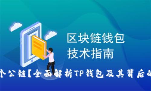 TP钱包是哪个公链？全面解析TP钱包及其背后的区块链技术
