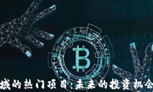 
加密货币领域的热门项目：未来的投资机会与风险分析