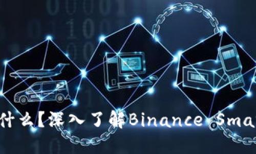 TP钱包中的BSC是什么？深入了解Binance Smart Chain及其应用