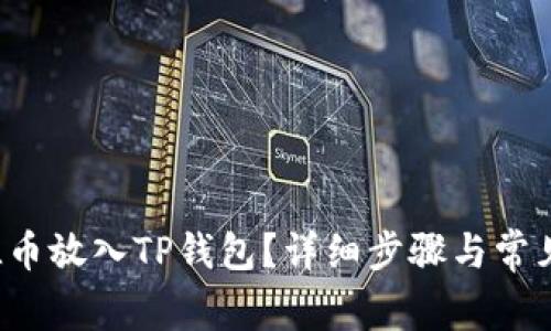 如何将FIL币放入TP钱包？详细步骤与常见问题解析
