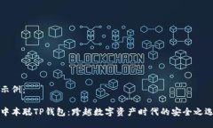 示例：中本聪TP钱包：跨越数字资产时代的安全之