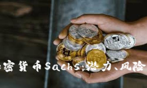 深入解析加密货币Sachs：潜力、风险与未来趋势
