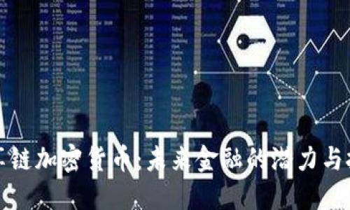 共享链加密货币：未来金融的潜力与挑战