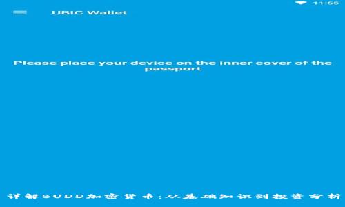 详解BUDD加密货币：从基础知识到投资分析