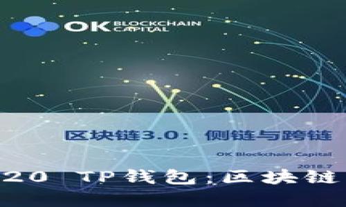 深入探索BEP20 TP钱包：区块链的未来与实践