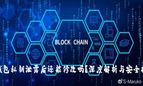 tp钱包私钥泄露后还能修改吗？深度解析与安全措施