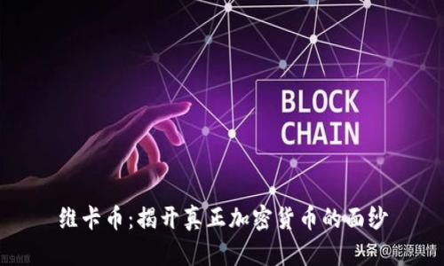 维卡币：揭开真正加密货币的面纱