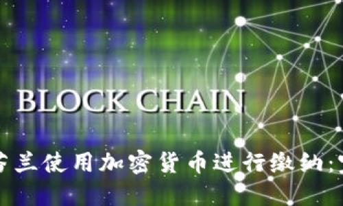 如何在芬兰使用加密货币进行缴纳：完整指南