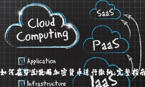 如何在芬兰使用加密货币进行缴纳：完整指南