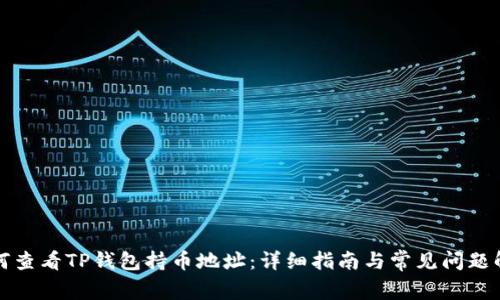 如何查看TP钱包持币地址：详细指南与常见问题解答