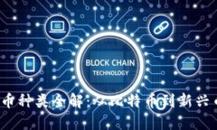 2023年加密货币种类全解：从比特币到新兴币种的