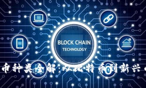 2023年加密货币种类全解：从比特币到新兴币种的全面指南