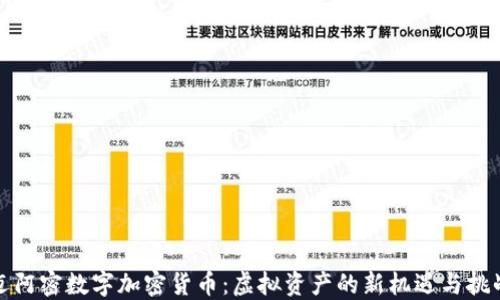 
迈阿密数字加密货币：虚拟资产的新机遇与挑战