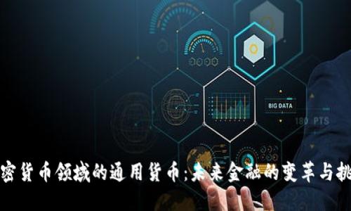 加密货币领域的通用货币：未来金融的变革与挑战