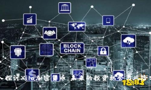 深入探讨Xila加密货币：未来的投资机会与风险分析