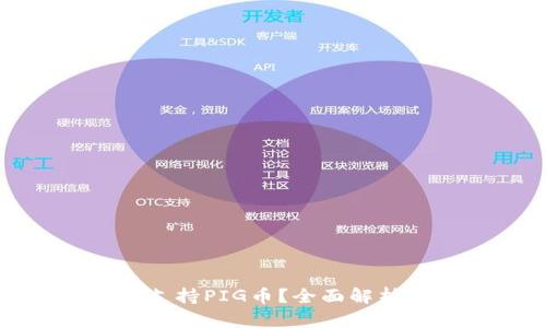 TP钱包是否支持PIG币？全面解析与使用指南