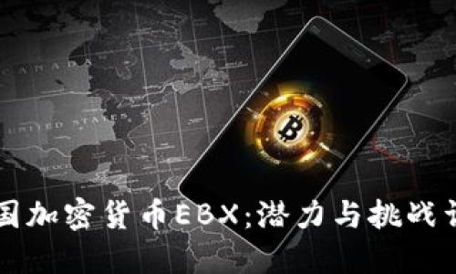 中国加密货币EBX：潜力与挑战详解