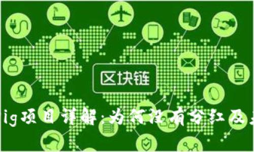 TP钱包Pig项目详解：为何没有分红及未来展望