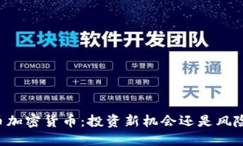 贝叮币加密货币：投资新机会还是风险重重？